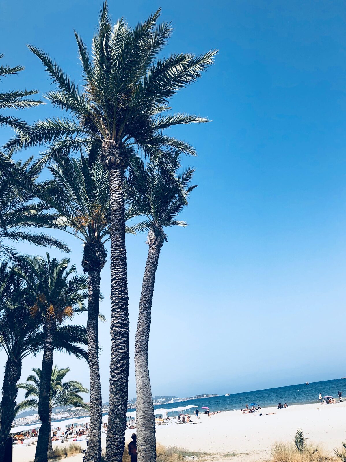 Strand mit Palmen an der Mittelmeerkueste