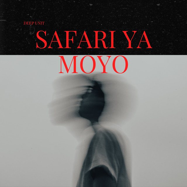 Cover Safari ya Moyo